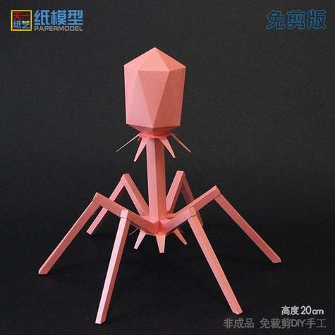 指尖上的科学 用折纸DIY立体噬菌体与人体细胞模型